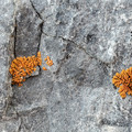 20230521_170242.jpg