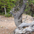 20230521_171640.jpg