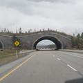 20230522_110142.jpg