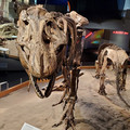 20230524_152602.jpg