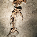20230524_154613.jpg