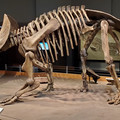 20230524_161227.jpg