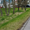 20220506_104026.jpg