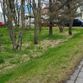 20220506_104028.jpg