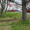 20220506_104042.jpg