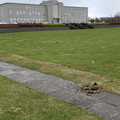 20220506_104545.jpg