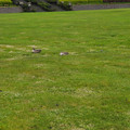 20220506_104600.jpg