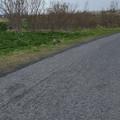 20220506_110050.jpg