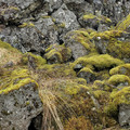 20220508_131137.jpg
