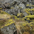 20220508_131140.jpg
