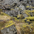 20220508_131143.jpg
