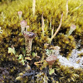 20220508_132537.jpg