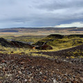 20220508_141454.jpg