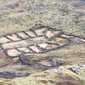 20220508_141910.jpg