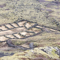 20220508_141914.jpg
