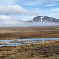 20220508_171900.jpg