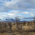 20220508_185641.jpg