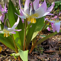 20220509_155904.jpg