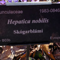 20220509_160406.jpg