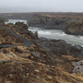 20220510_115231.jpg