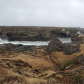 20220510_115240.jpg