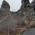 20220510_141614.jpg