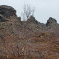 20220510_142955.jpg