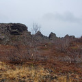 20220510_142959.jpg
