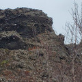 20220510_143004.jpg