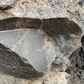 20220510_143453.jpg