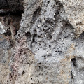 20220510_143506.jpg