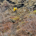 20220510_143720.jpg