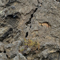 20220510_143838.jpg