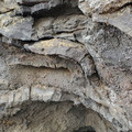 20220510_144702.jpg