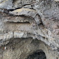 20220510_144715.jpg