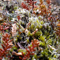 20220510_150033.jpg