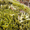 20220510_150117.jpg