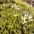 20220510_150126.jpg