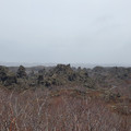 20220510_151530.jpg
