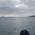 20220511_182550.jpg