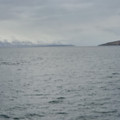 20220511_182552.jpg