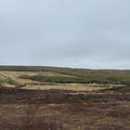 20220512_162654.jpg