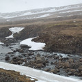 20220512_164620.jpg