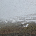 20220512_165632.jpg