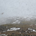 20220512_165637.jpg