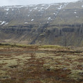 20220512_170103.jpg
