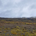 20220512_173941.jpg