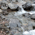 20220512_174954.jpg