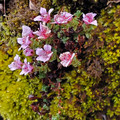 20220512_175351.jpg