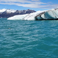 20220513_124256.jpg